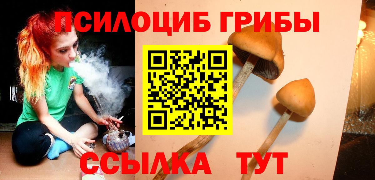 Псилоцибиновые грибы GOLDEN TEACHER Егорьевск